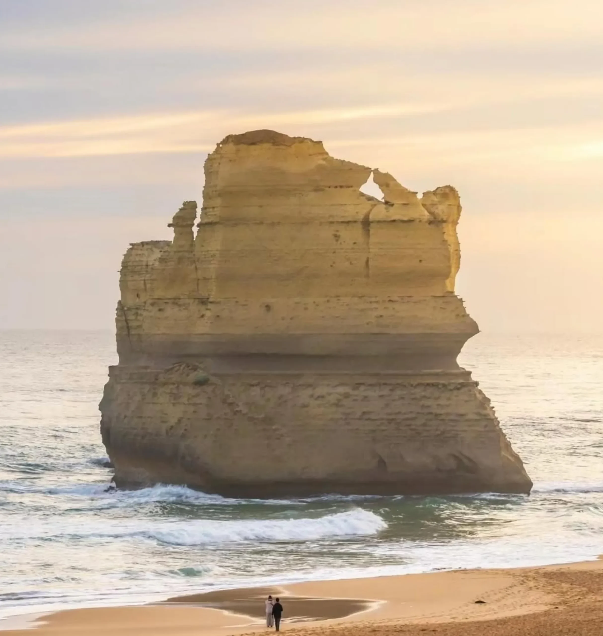 Coastal Nature, Ocean Road