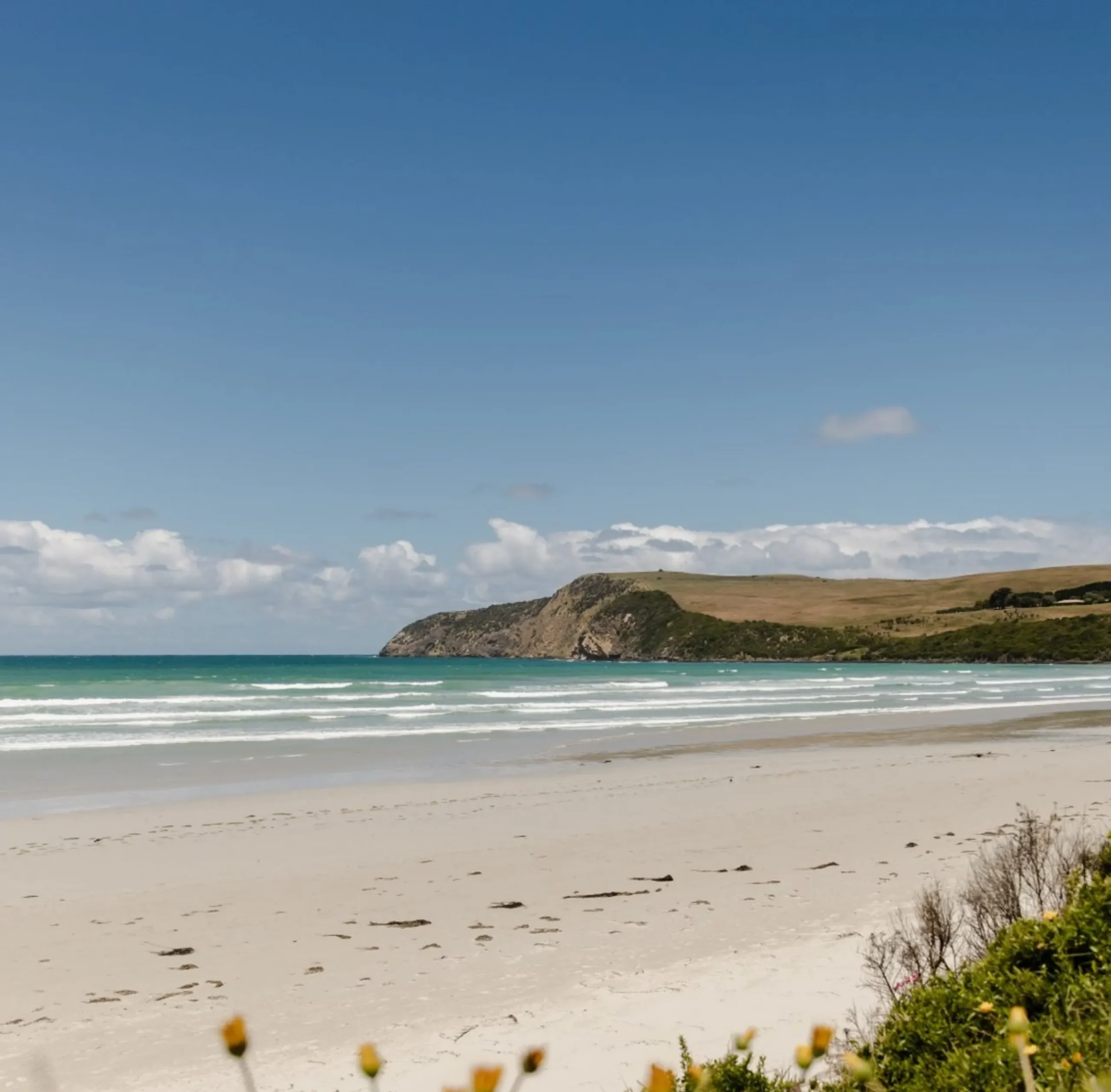 Coastal, Ocean Road