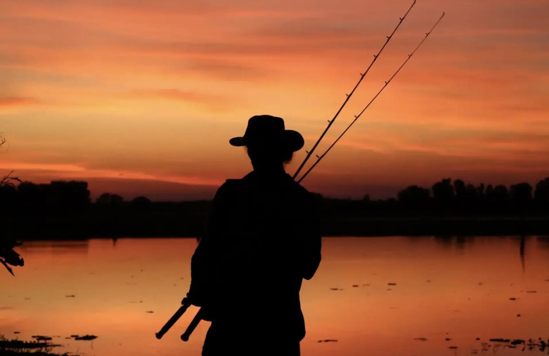 Kakadu Wetlands Biodiversity & Cultural Wonders