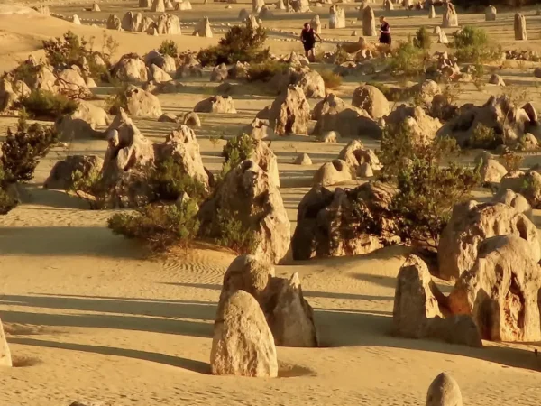 What are three interesting facts about Pinnacles Desert?