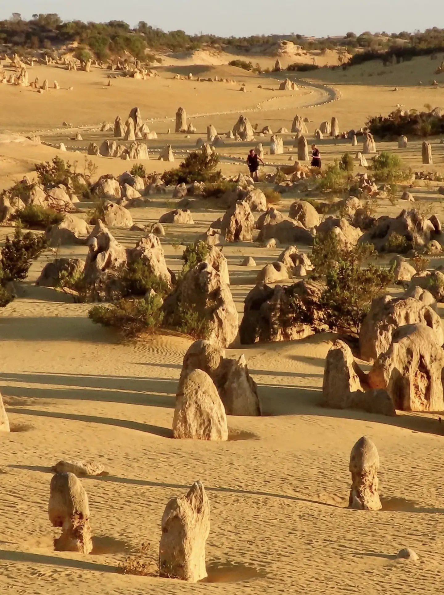 What are three interesting facts about Pinnacles Desert?