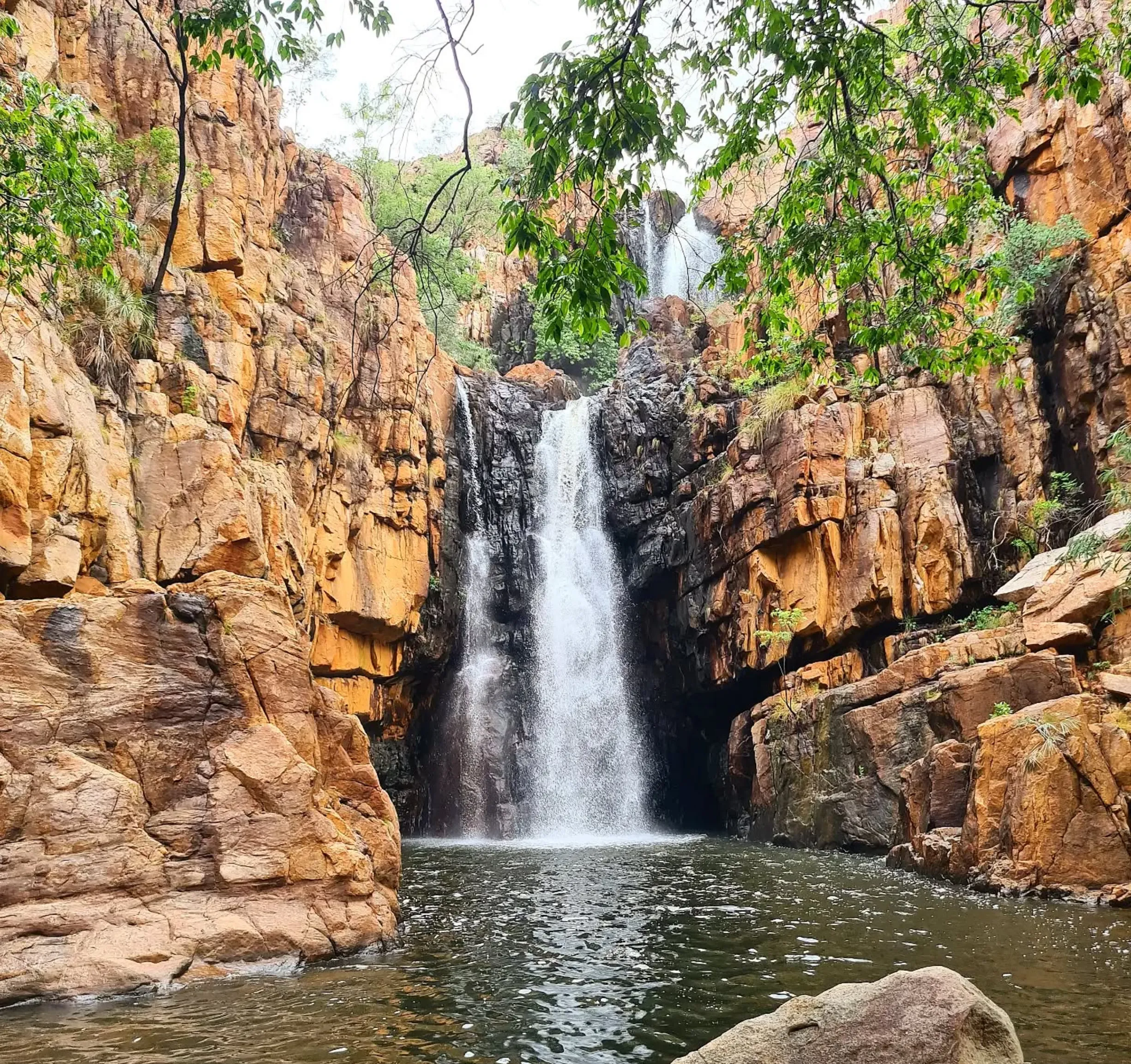 wet season
