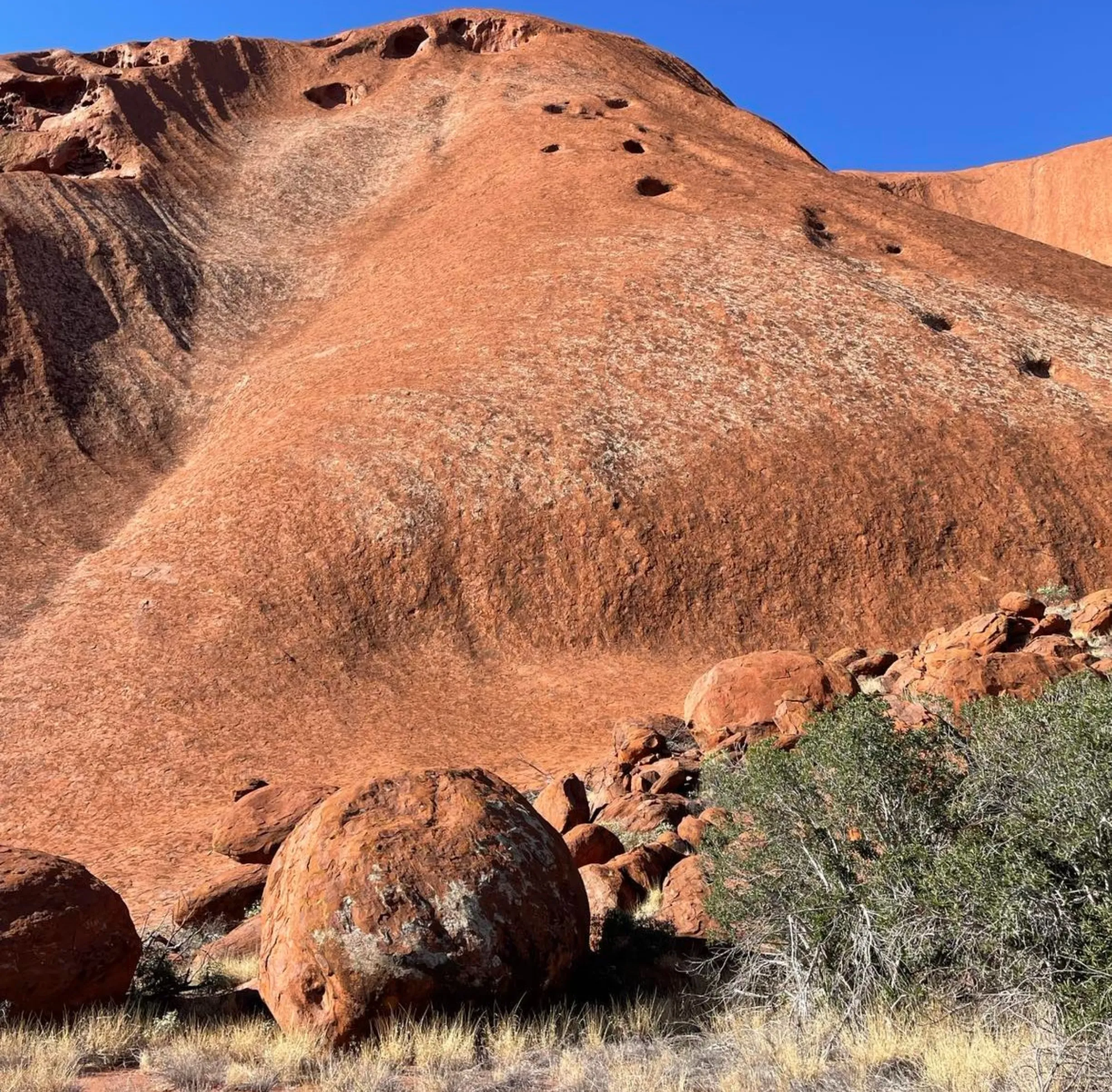 guided day hikes