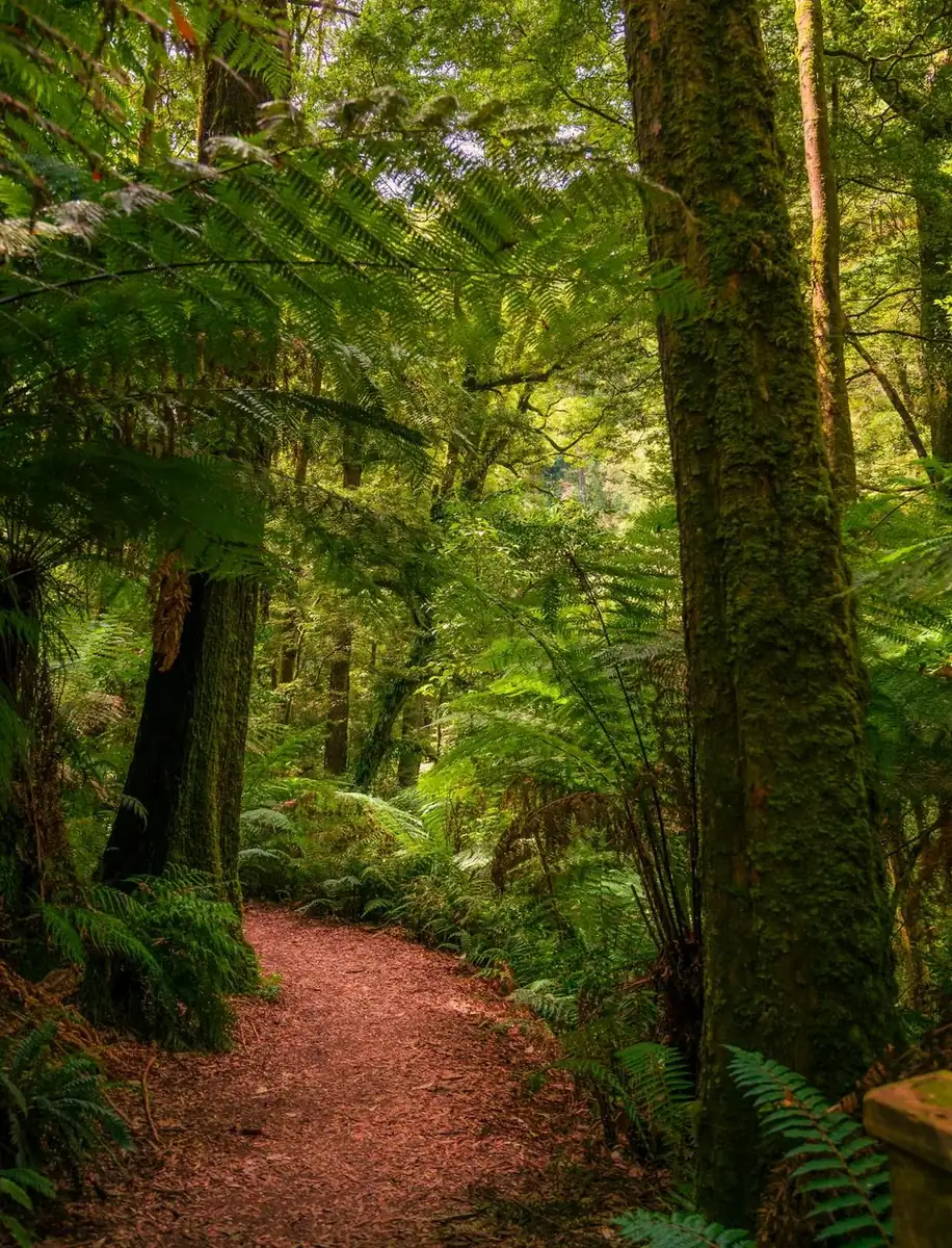 great ocean road tours from melbourne